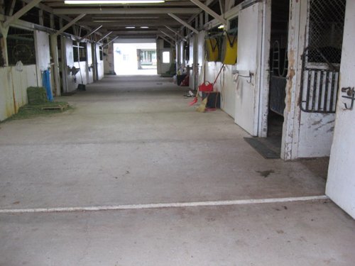 Property photo 61 - 80 Acres Offered in 4 Tracts - Horse Farm